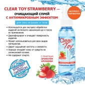 Очищающий спрей для игрушек CLEAR TOY Strawberry - 100 мл. - Биоритм - купить с доставкой в Брянске