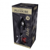 Серебристая анальная втулка Mini Metal Butt Plug Size M с красным кристаллом - Adrien Lastic в Брянске Серебристая анальная втулка Mini Metal Butt Plug Size M с красным кристаллом - Adrien Lastic