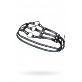 Черный кожаный пояс с кольцами - Pecado - купить с доставкой в Брянске