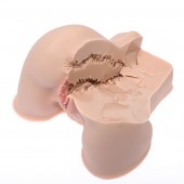 Мастурбатор-полуторс Naked Factory Kate - Naked Factory - в Брянске купить с доставкой