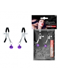 Оригинальные зажимы на соски с фиолетовыми шариками - Notabu - купить с доставкой в Брянске