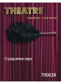 Чёрное страусовое пёрышко - ToyFa - купить с доставкой в Брянске