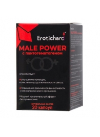 Капсулы для мужчин Erotichard male power с пантогематогеном - 20 капсул (0,370 гр.) - Erotic Hard - купить с доставкой в Брянске