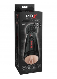 Мастурбатор-вагина с вибрацией Dirty Talk Starter Stroker - Pipedream - в Брянске купить с доставкой