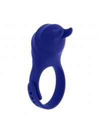 Синее эрекционное виброкольцо с клиторальной подушечкой и пультом ДУ Adjustable Fun Ring - Zero Tolerance - в Брянске купить с доставкой