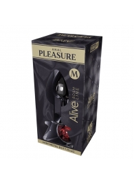 Серебристая анальная втулка Mini Metal Butt Plug Size M с красным кристаллом - Adrien Lastic в Брянске Серебристая анальная втулка Mini Metal Butt Plug Size M с красным кристаллом - Adrien Lastic