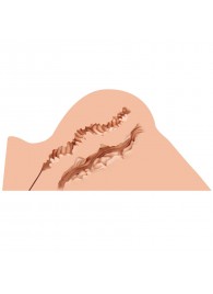 Мастурбатор-полуторс Naked Factory Hannah - Naked Factory - в Брянске купить с доставкой