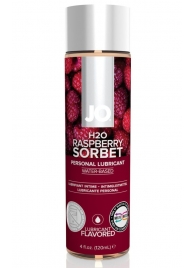 Лубрикант на водной основе с ароматом малины JO Flavored Raspberry Sorbet - 120 мл. - System JO - купить с доставкой в Брянске