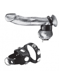 Утяжка для мошонки и пениса Cock Ring With 1  Ball Stretcher And Optional Weight Ring - BlueLine - купить с доставкой в Брянске