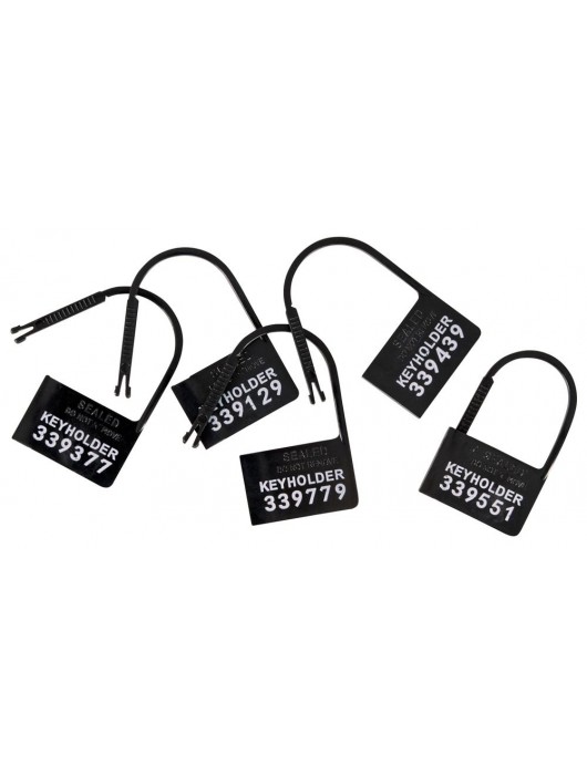 Набор для мужского пояса верности Cock Cage Set - Orion - купить с доставкой в Брянске