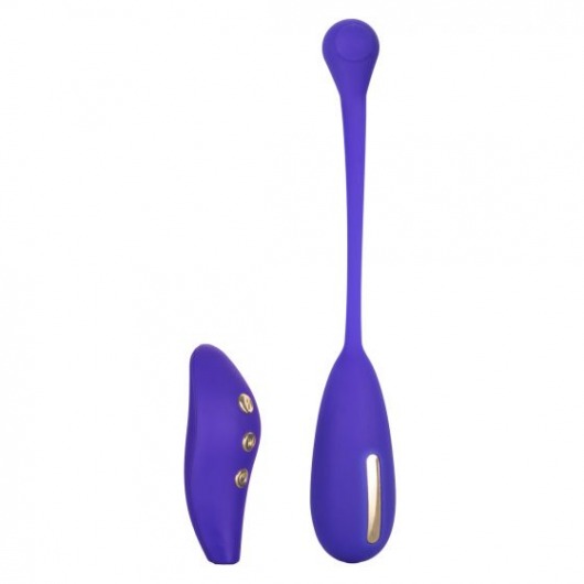 Фиолетовый шарик с электростимуляцией и вибрацией Intimate E-Stimulator Remote Kegel Exerciser - California Exotic Novelties - купить с доставкой в Брянске