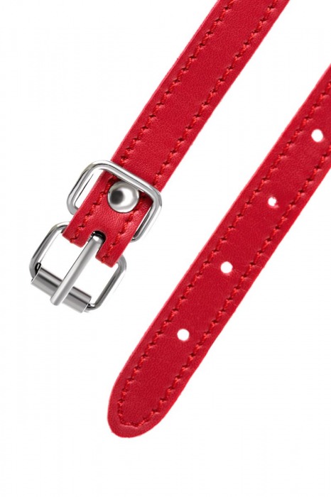 Красная маска Anonymo из искусственной кожи - ToyFa - купить с доставкой в Брянске