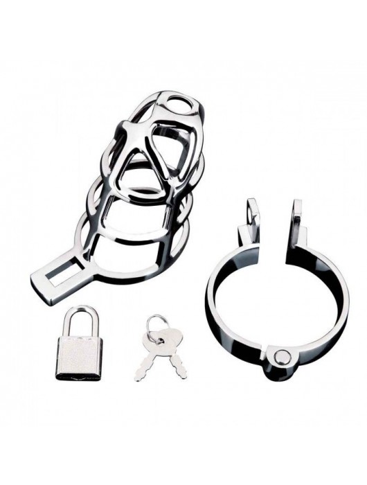 Серебристая металлическая клетка для члена с замком Enslave Cock Cage - BlueLine - купить с доставкой в Брянске