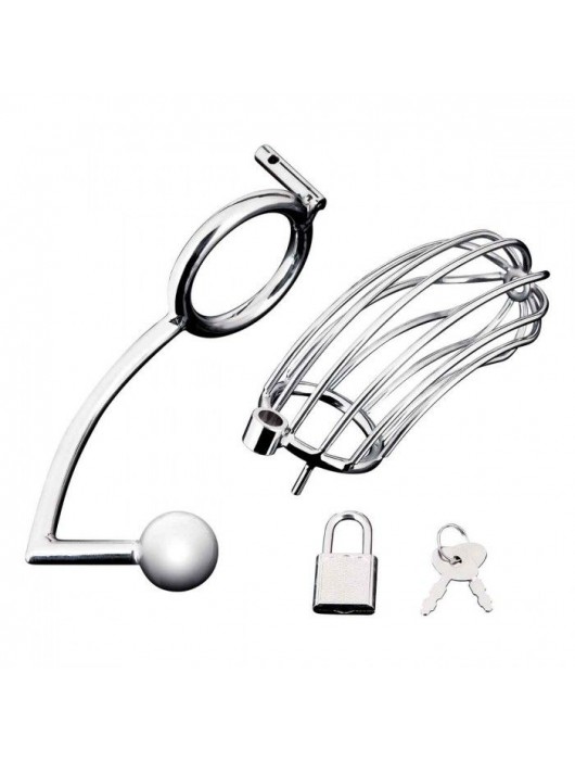 Серебристая металлическая клетка с анальным стимулятором Cock Cage - BlueLine - купить с доставкой в Брянске