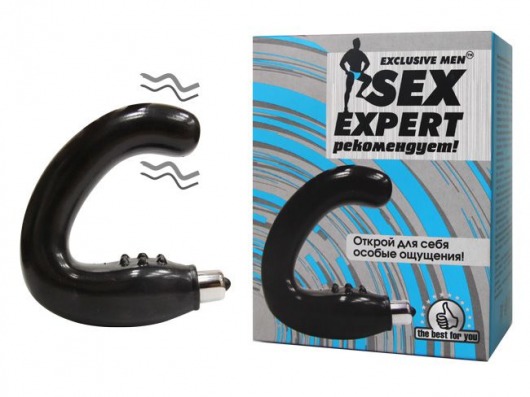 Чёрный массажёр простаты серии Sex Expert - Sex Expert - в Брянске купить с доставкой