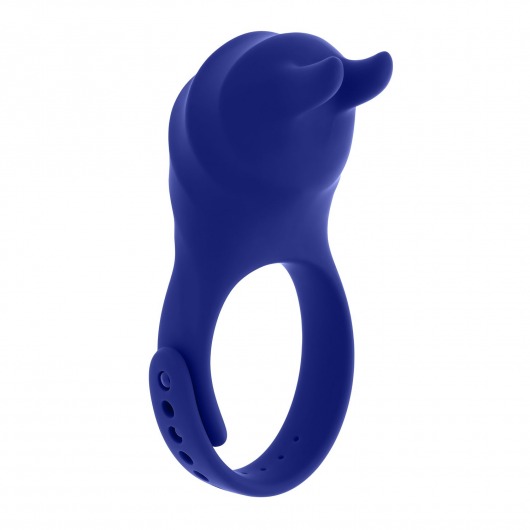 Синее эрекционное виброкольцо с клиторальной подушечкой и пультом ДУ Adjustable Fun Ring - Zero Tolerance - в Брянске купить с доставкой