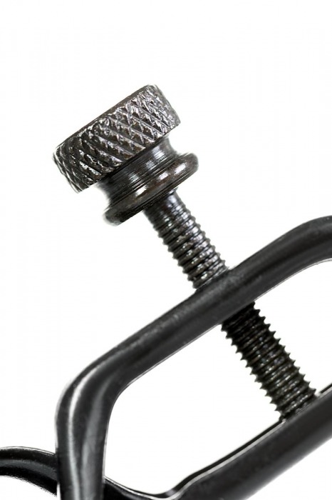 Черно-золотистые зажимы для сосков TOYFA Theatre - ToyFa - купить с доставкой в Брянске